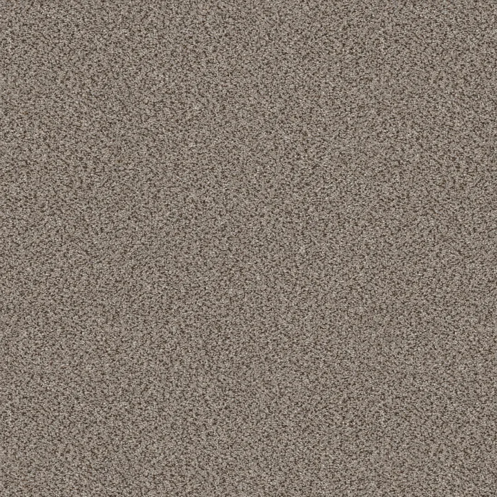 Shaw Floors TruSpirit II — Iron Works · 5E497-00506 — flooring selection with LeviArs Design & Remodeling