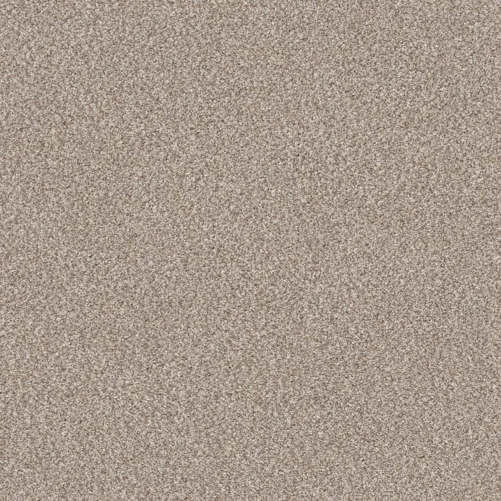 Shaw Floors TruSpirit II — Mist · 5E497-00103 — flooring selection with LeviArs Design & Remodeling