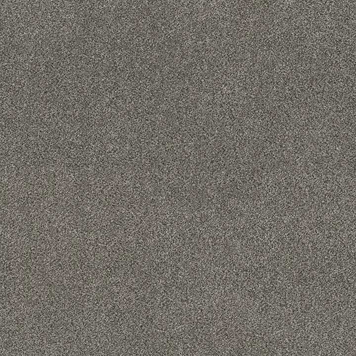 Shaw Floors TruSpirit II — Quarry · 5E497-00509 — flooring selection with LeviArs Design & Remodeling