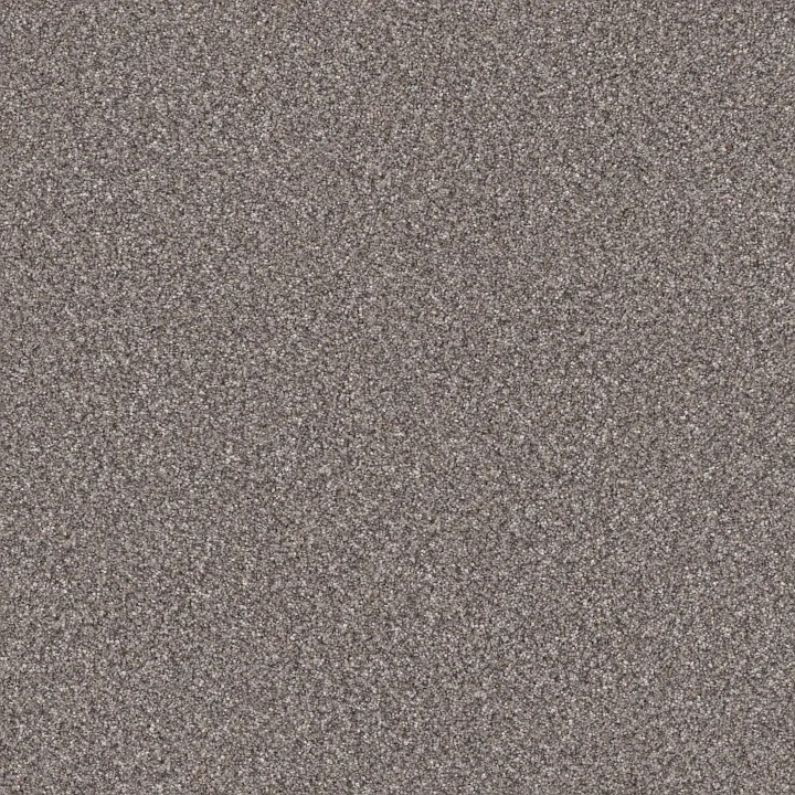 Shaw Floors TruSpirit II — Stainless · 5E497-00508 — flooring selection with LeviArs Design & Remodeling