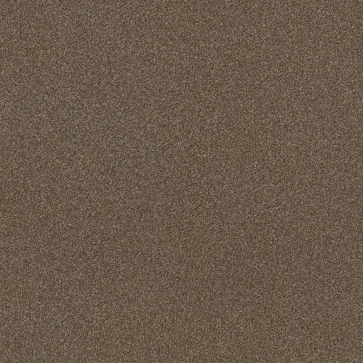 Shaw Floors TruSplendor — Chestnut · 5E464-00707 — flooring selection with LeviArs Design & Remodeling
