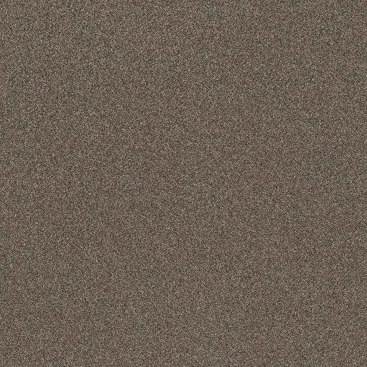 Shaw Floors TruSplendor — City Scape · 5E464-00511 — flooring selection with LeviArs Design & Remodeling