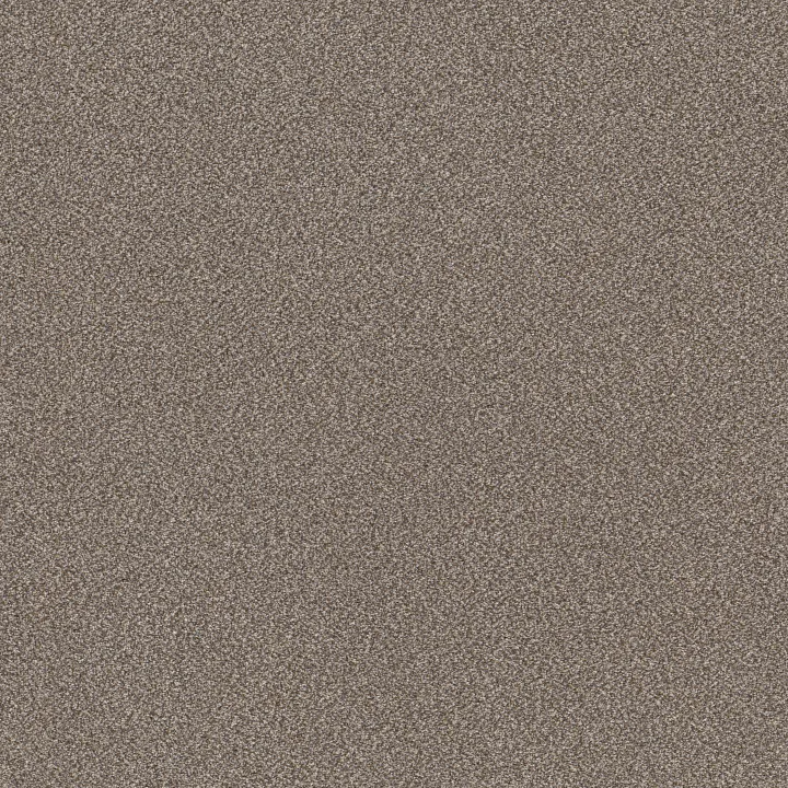 Shaw Floors TruSplendor — Cobble Drive · 5E464-00510 — flooring selection with LeviArs Design & Remodeling