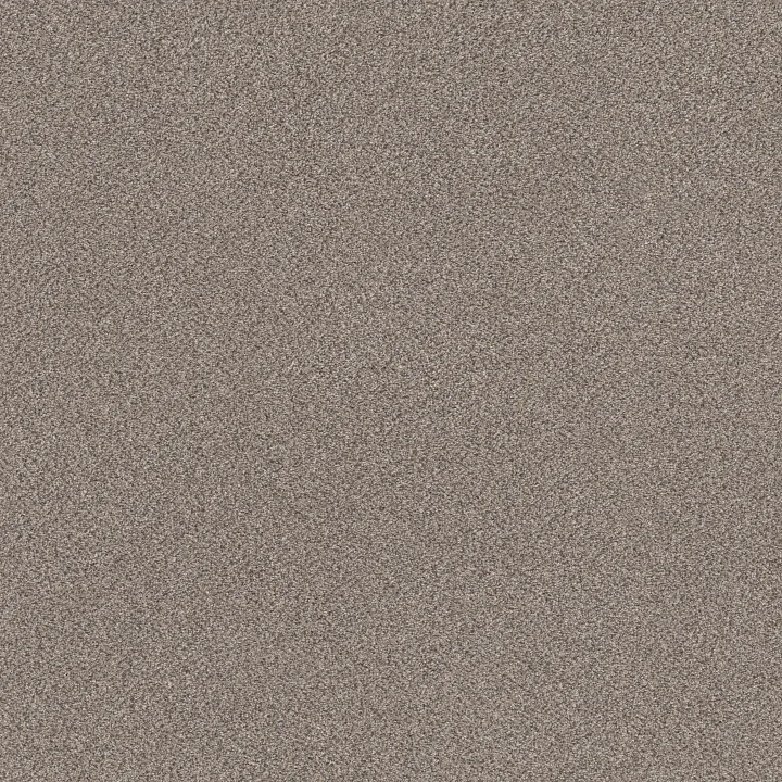 Shaw Floors TruSplendor — Concrete · 5E464-00507 — flooring selection with LeviArs Design & Remodeling