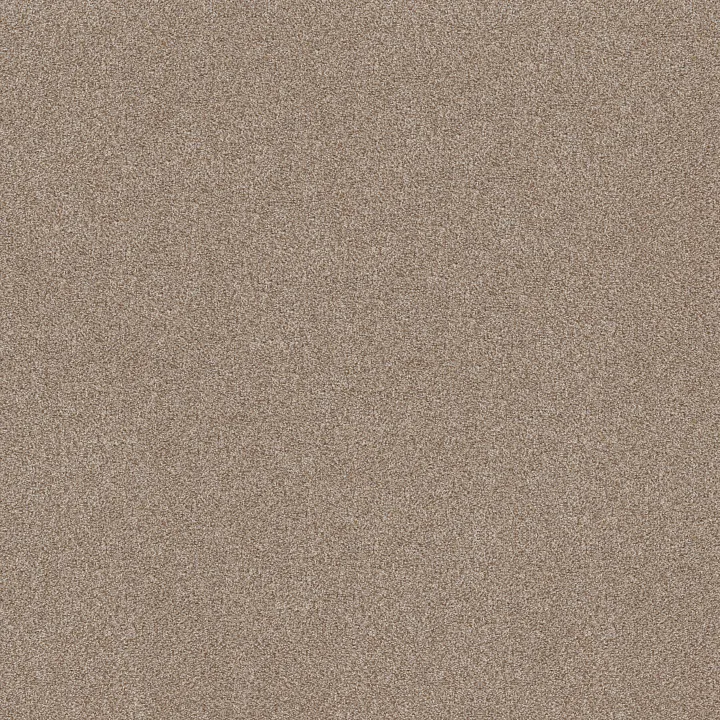 Shaw Floors TruSplendor — Cottage · 5E464-00705 — flooring selection with LeviArs Design & Remodeling