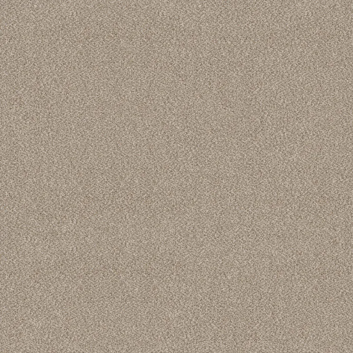 Shaw Floors TruSplendor — Mist · 5E464-00103 — flooring selection with LeviArs Design & Remodeling