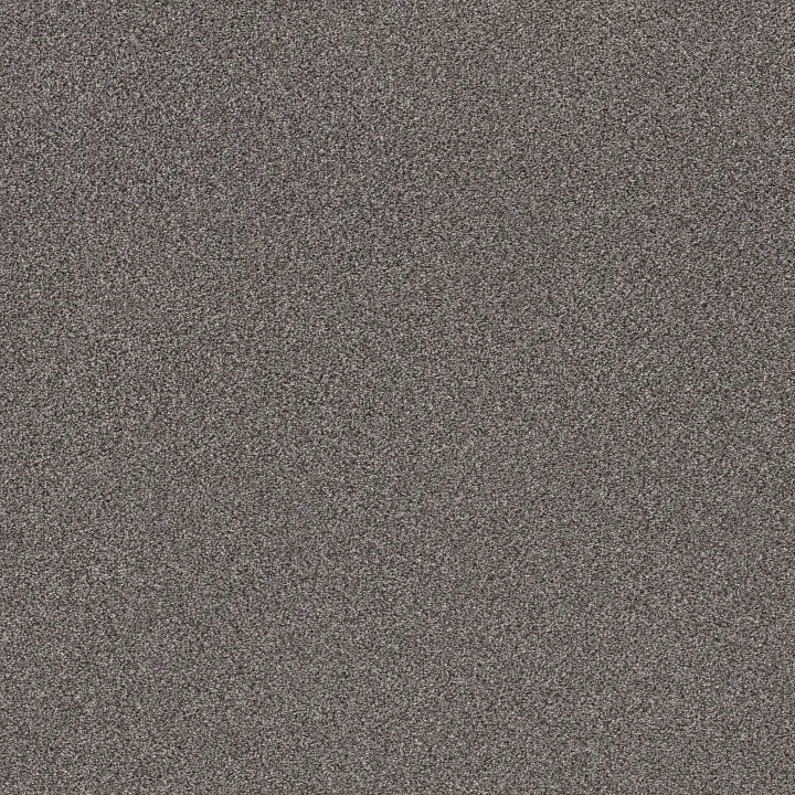 Shaw Floors TruSplendor — Quarry · 5E464-00509 — flooring selection with LeviArs Design & Remodeling