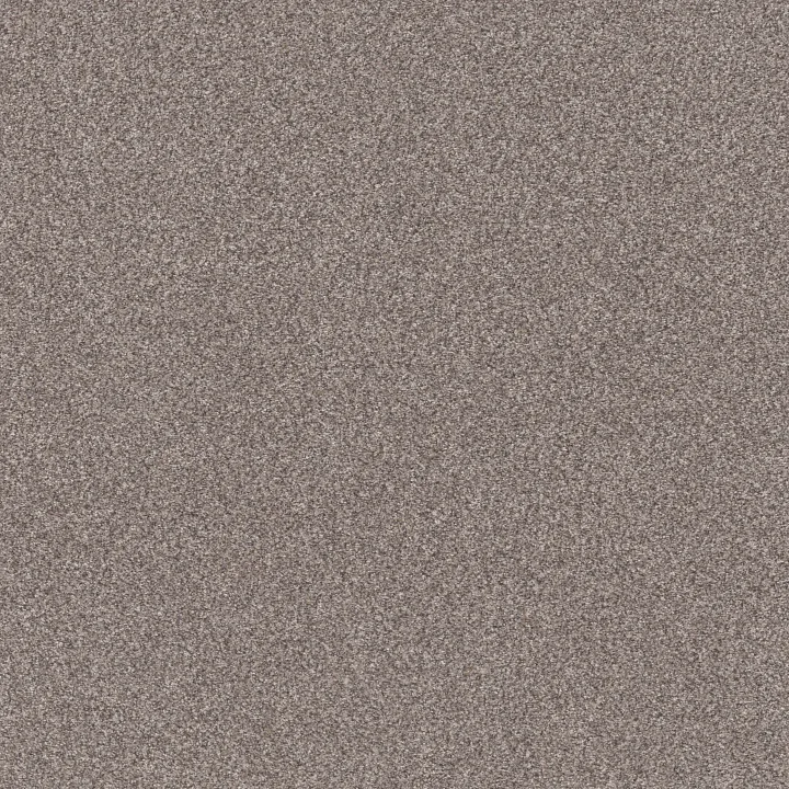 Shaw Floors TruSplendor — Stainless · 5E464-00508 — flooring selection with LeviArs Design & Remodeling