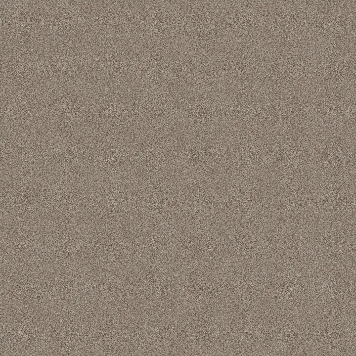 Shaw Floors TruSplendor — Timeless Tan · 5E464-00704 — flooring selection with LeviArs Design & Remodeling