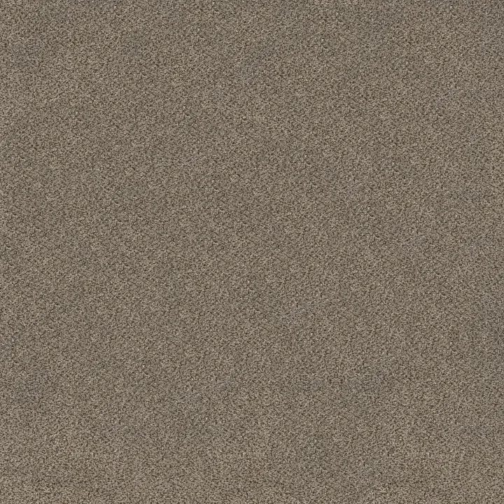Shaw Floors TruSplendor — Truffle · 5E464-00701 — flooring selection with LeviArs Design & Remodeling