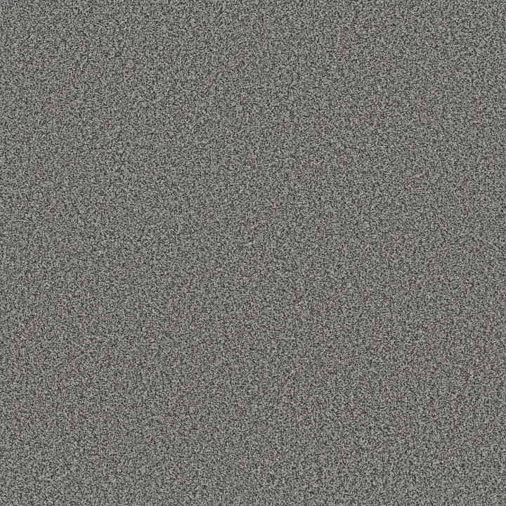 Shaw Floors Tweed Comfort Blue — All Dressed Up · 5E663-00178 — flooring selection with LeviArs Design & Remodeling