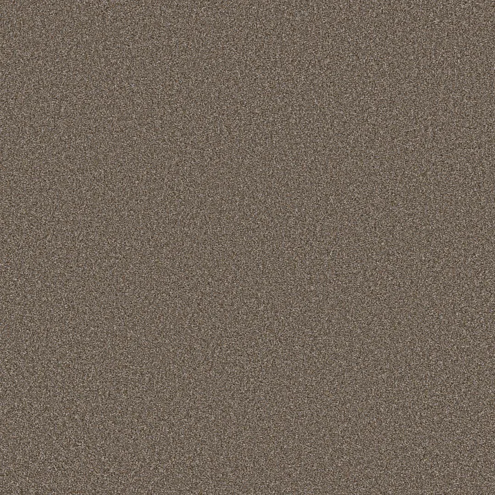 Shaw Floors Tweed Comfort Blue — Gathering · 5E663-00772 — flooring selection with LeviArs Design & Remodeling