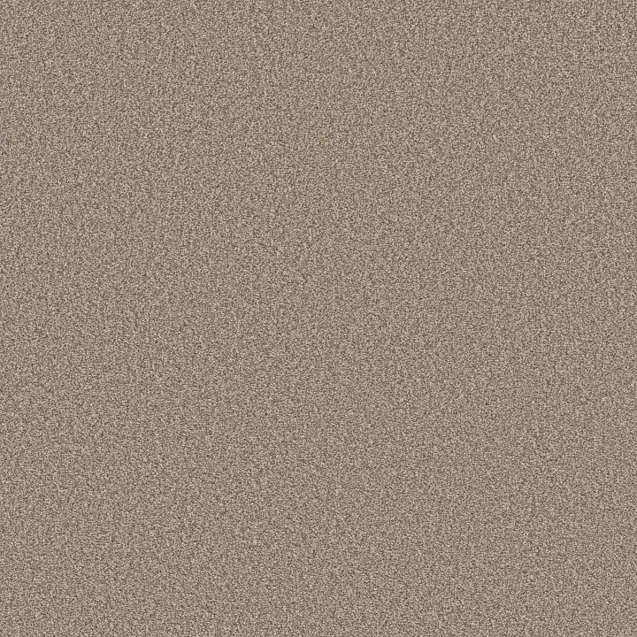 Shaw Floors Tweed Comfort Blue — Honeymoon · 5E663-00174 — flooring selection with LeviArs Design & Remodeling