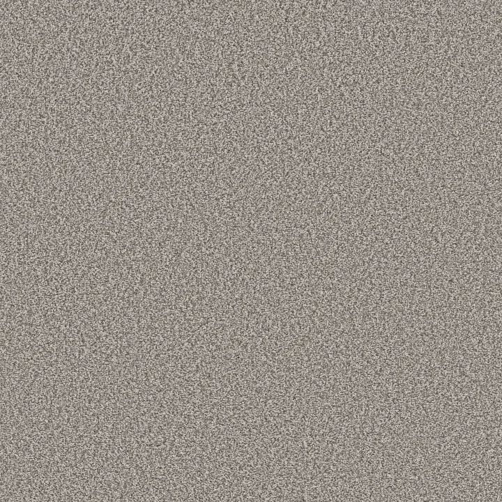 Shaw Floors Tweed Comfort Blue — Make A Splash · 5E663-00571 — flooring selection with LeviArs Design & Remodeling