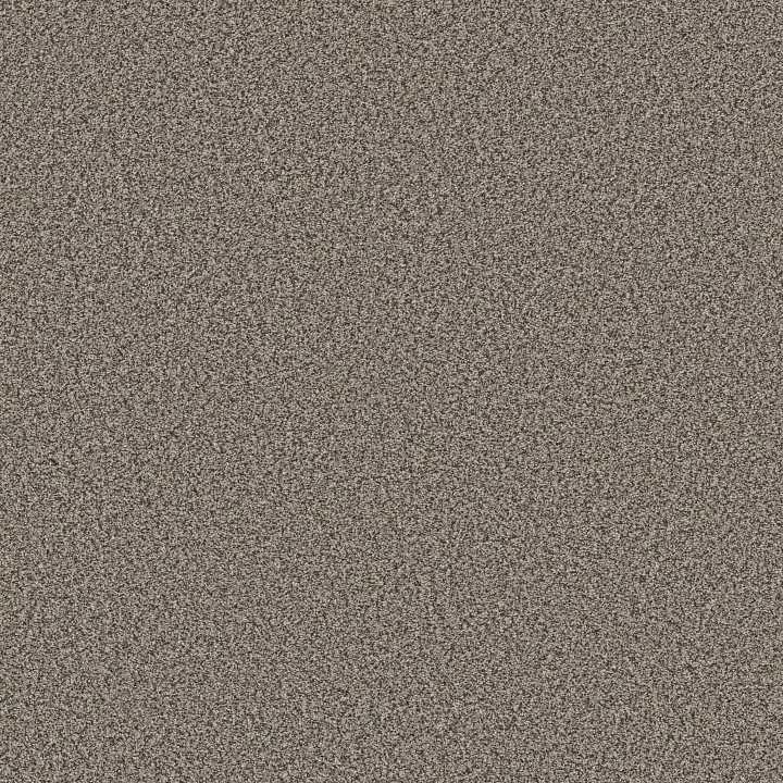 Shaw Floors Tweed Comfort Blue — Pop Star · 5E663-00773 — flooring selection with LeviArs Design & Remodeling