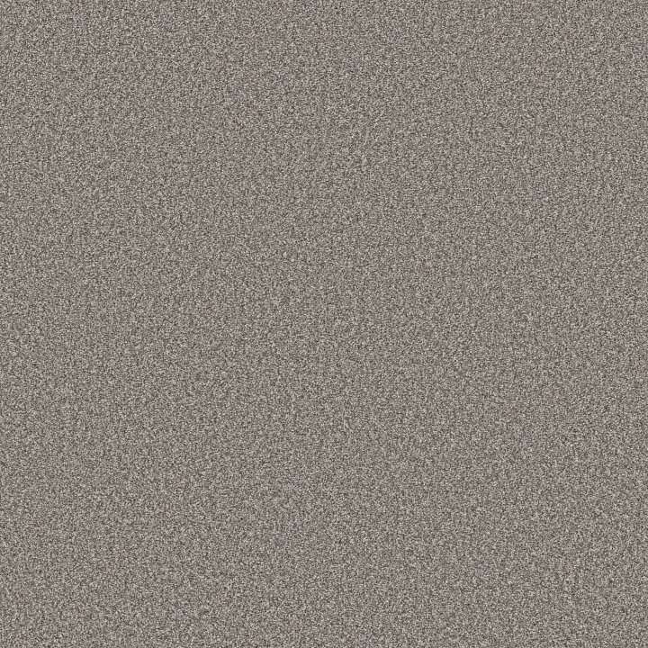 Shaw Floors Tweed Comfort Blue — Sing Along · 5E663-00570 — flooring selection with LeviArs Design & Remodeling