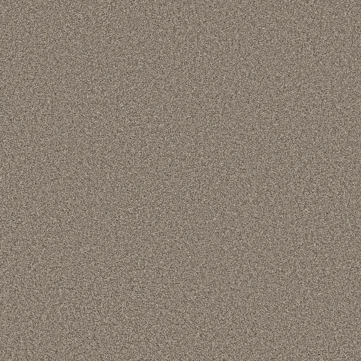 Shaw Floors Tweed Comfort Blue — Stroke Of Luck · 5E663-00175 — flooring selection with LeviArs Design & Remodeling