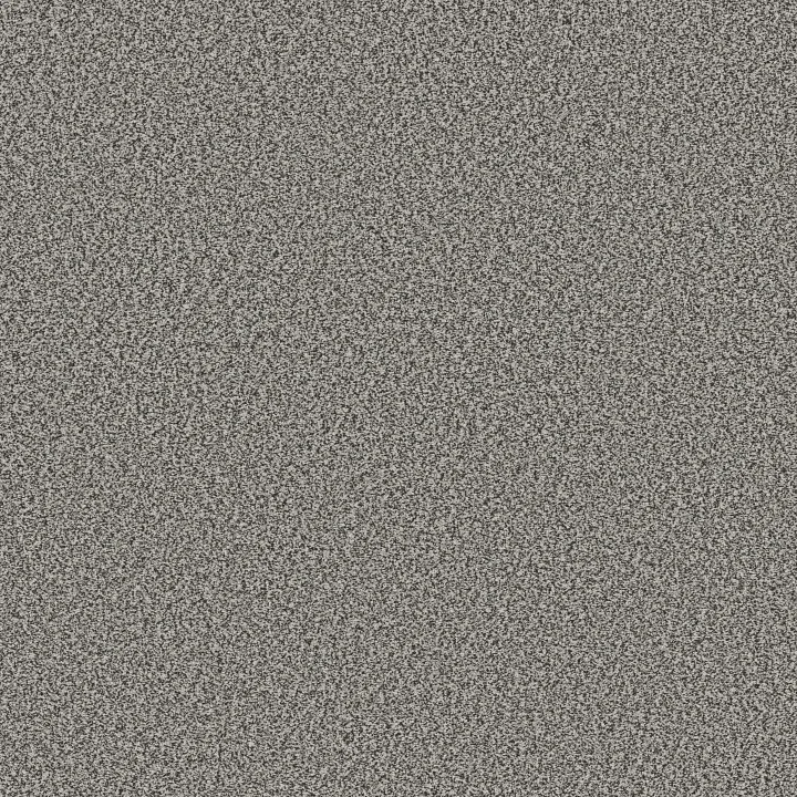 Shaw Floors Tweed Comfort I — All Dressed Up · 5E661-00178 — flooring selection with LeviArs Design & Remodeling