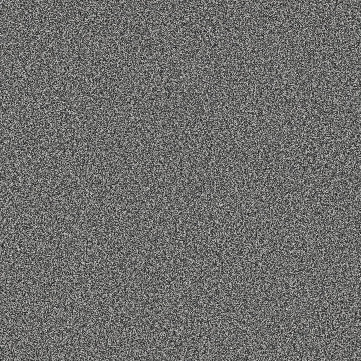 Shaw Floors Tweed Comfort I — Carolina · 5E661-00470 — flooring selection with LeviArs Design & Remodeling