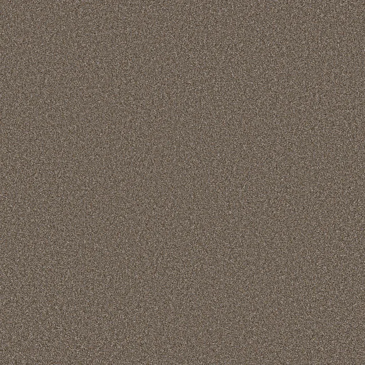 Shaw Floors Tweed Comfort II — Gathering · 5E662-00772 — flooring selection with LeviArs Design & Remodeling