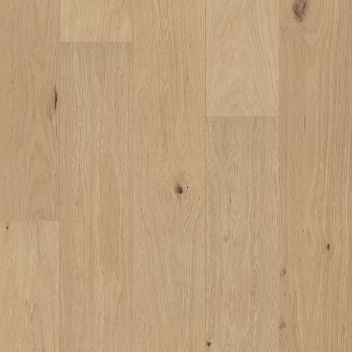 Shaw Floors Utmost — Eternal · SW753-11058 — flooring selection with LeviArs Design & Remodeling