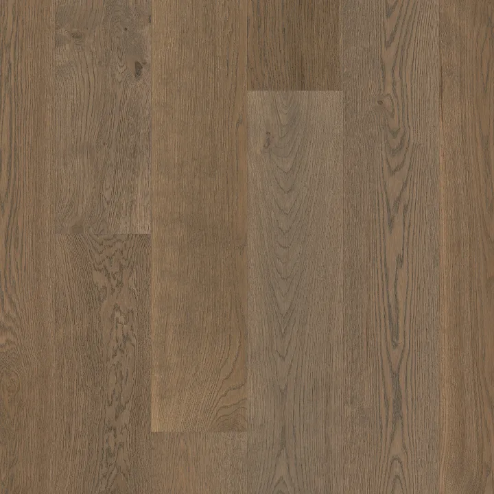 Shaw Floors Utmost — Grounded · SW753-17047 — flooring selection with LeviArs Design & Remodeling