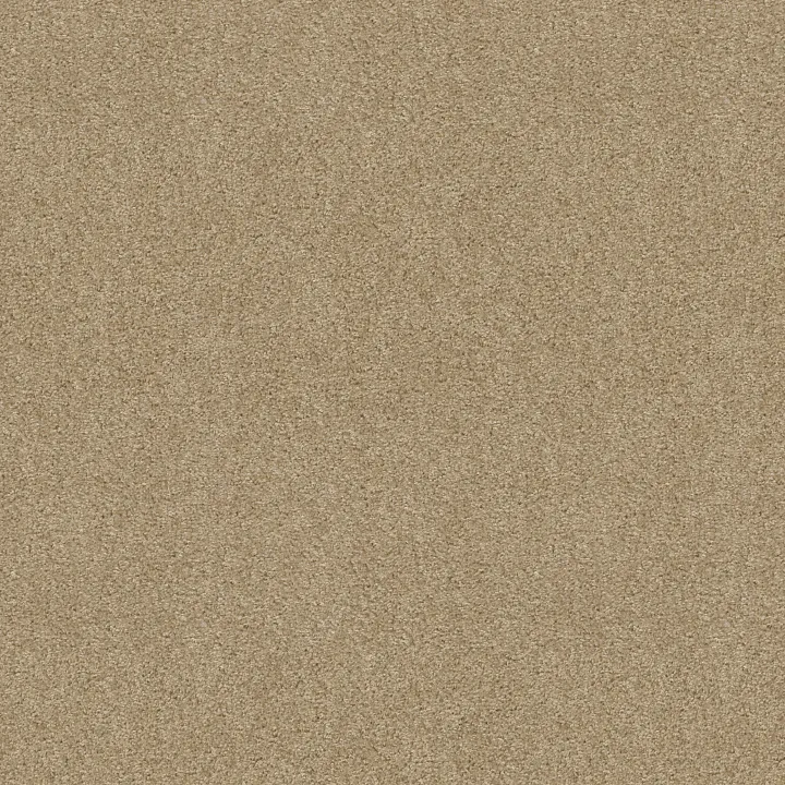 Shaw Floors Valiant — Coronado · 5E288-00105 — flooring selection with LeviArs Design & Remodeling