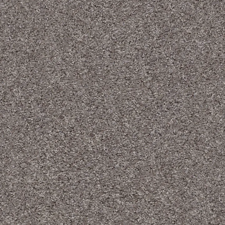 Shaw Floors Valiant — Himalayan Trek · 5E288-00592 — flooring selection with LeviArs Design & Remodeling