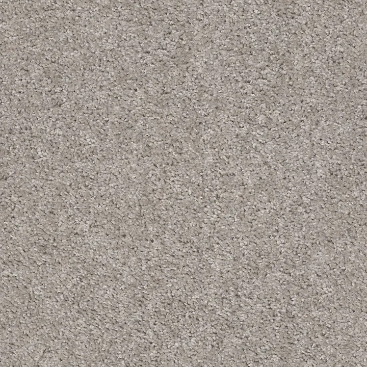 Shaw Floors Valiant — La Paloma · 5E288-00192 — flooring selection with LeviArs Design & Remodeling