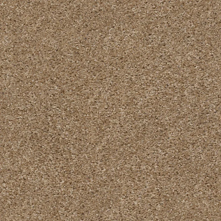 Shaw Floors Valiant — Lighthouse · 5E288-00720 — flooring selection with LeviArs Design & Remodeling