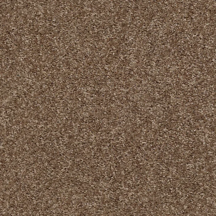 Shaw Floors Valiant — Maple Valley · 5E288-00702 — flooring selection with LeviArs Design & Remodeling