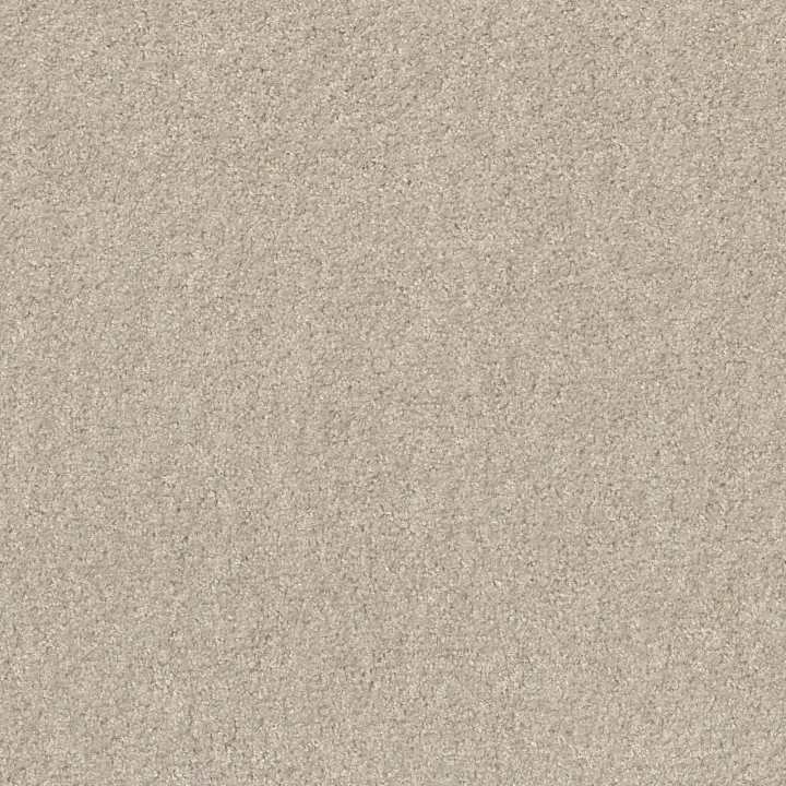 Shaw Floors Valiant — Marble White · 5E288-00190 — flooring selection with LeviArs Design & Remodeling