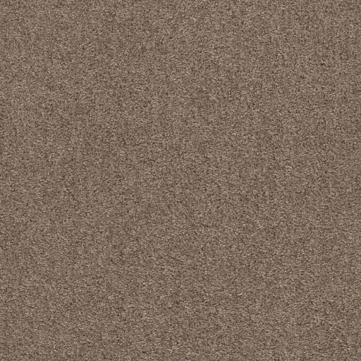 Shaw Floors Valiant — Northern Cliff · 5E288-00791 — flooring selection with LeviArs Design & Remodeling