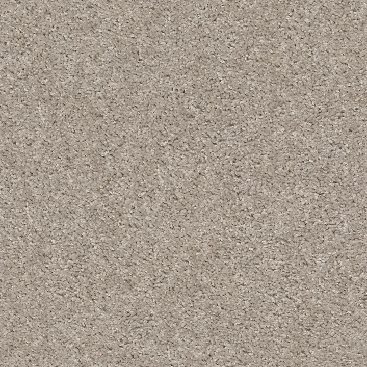 Shaw Floors Valiant — Quiet Moment · 5E288-00191 — flooring selection with LeviArs Design & Remodeling
