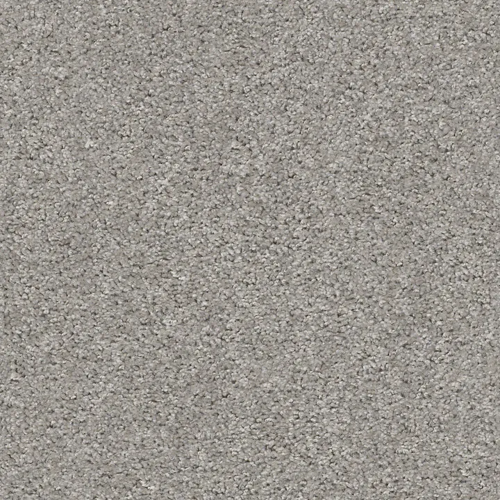 Shaw Floors Valiant — Raindance · 5E288-00591 — flooring selection with LeviArs Design & Remodeling