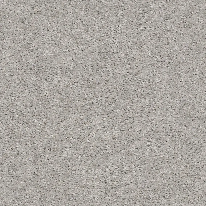 Shaw Floors Valiant — Silver Song · 5E288-00590 — flooring selection with LeviArs Design & Remodeling