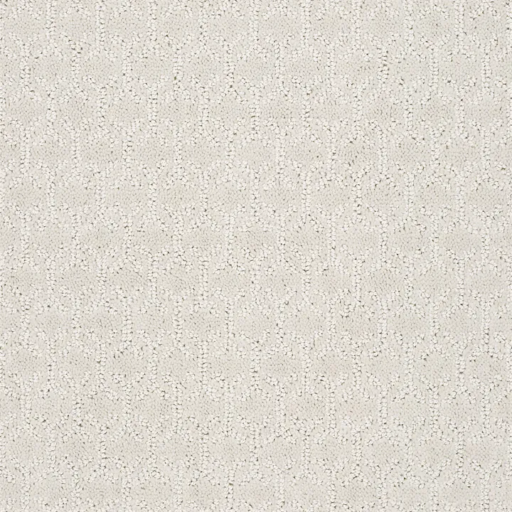 Shaw Floors Valid — Mist · 5E323-00101 — flooring selection with LeviArs Design & Remodeling