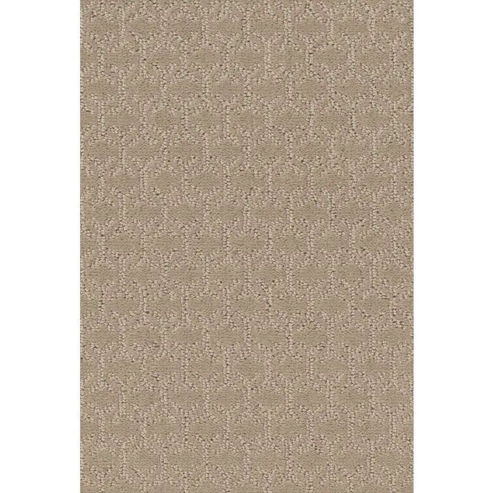Shaw Floors Valid — Nature Walk · 5E323-00107 — flooring selection with LeviArs Design & Remodeling