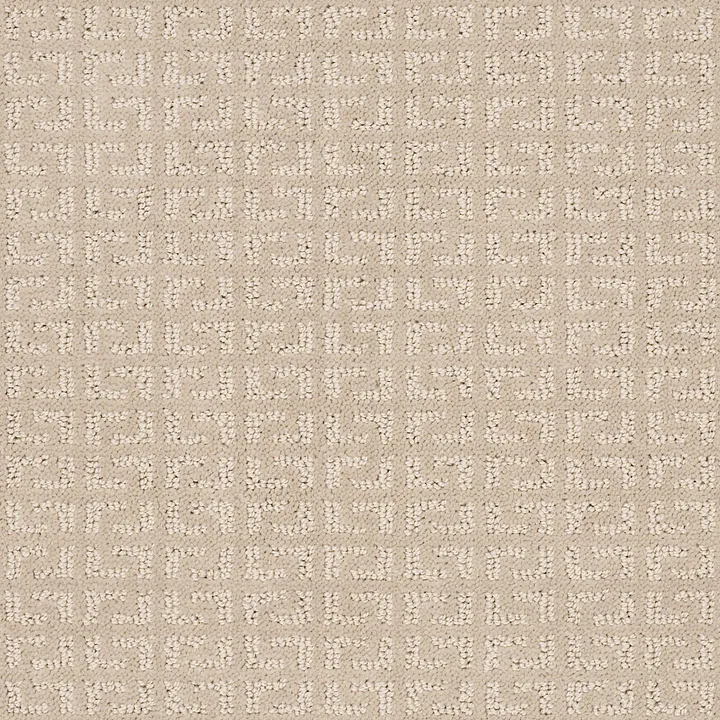 Shaw Floors Vastly — Nature Walk · 5E324-00107 — flooring selection with LeviArs Design & Remodeling