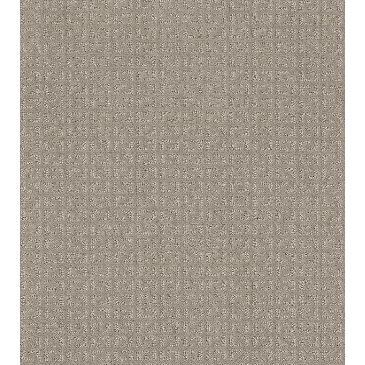 Shaw Floors Vastly — Twine · 5E324-00108 — flooring selection with LeviArs Design & Remodeling