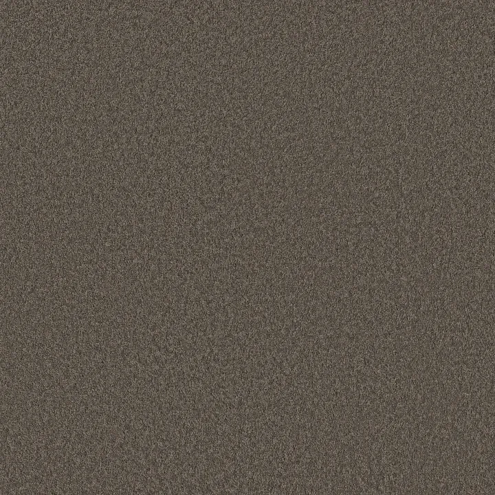 Shaw Floors Velvet Touch II — Ashes · 5E872-00750 — flooring selection with LeviArs Design & Remodeling
