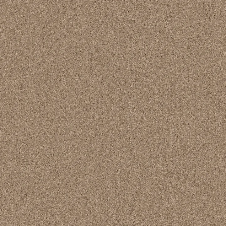 Shaw Floors Velvet Touch I — Canoe · 5E871-00700 — flooring selection with LeviArs Design & Remodeling