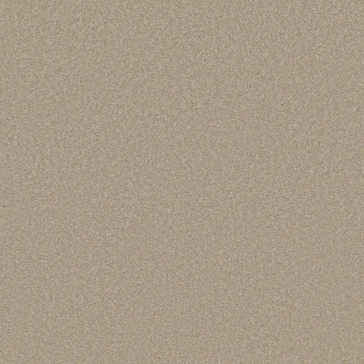 Shaw Floors Velvet Touch I — Chic Greige · 5E871-00104 — flooring selection with LeviArs Design & Remodeling