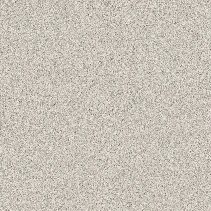 Shaw Floors Velvet Touch I — Frozen · 5E871-00500 — flooring selection with LeviArs Design & Remodeling