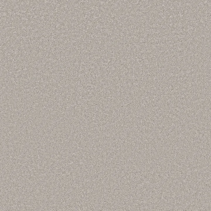 Shaw Floors Velvet Touch I — Gravity · 5E871-00501 — flooring selection with LeviArs Design & Remodeling