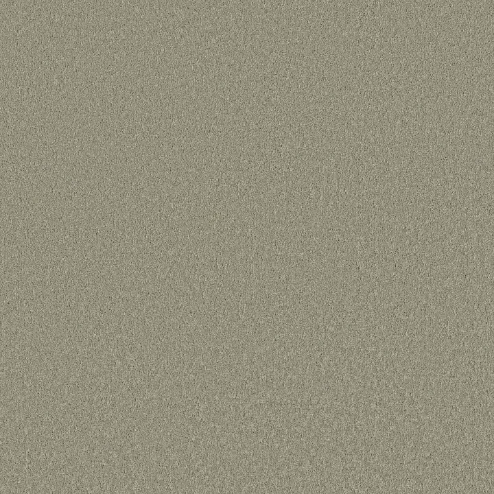 Shaw Floors Velvet Touch I — Organic Grown · 5E871-00320 — flooring selection with LeviArs Design & Remodeling