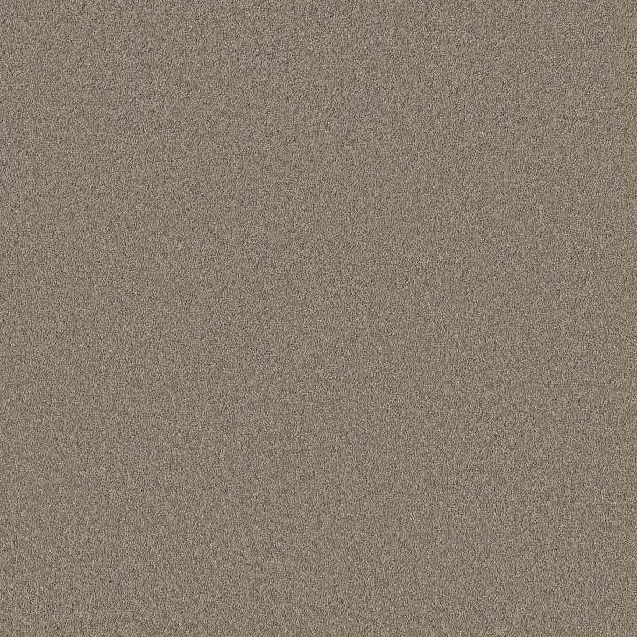 Shaw Floors Velvet Touch I — Plaza Taupe · 5E871-00702 — flooring selection with LeviArs Design & Remodeling