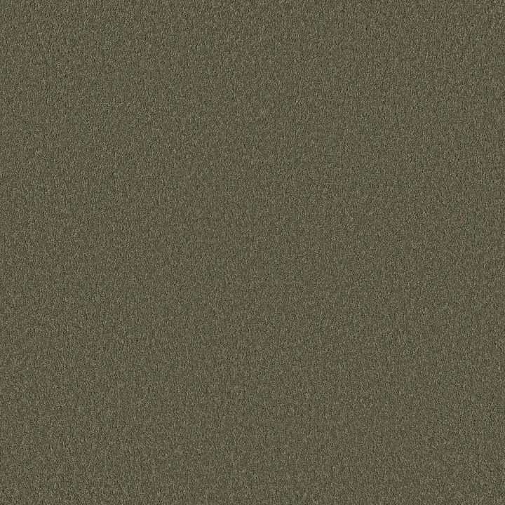 Shaw Floors Velvet Touch I — Rerooted Nature · 5E871-00300 — flooring selection with LeviArs Design & Remodeling