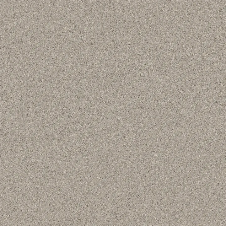 Shaw Floors Velvet Touch I — Rock Crystal · 5E871-00503 — flooring selection with LeviArs Design & Remodeling