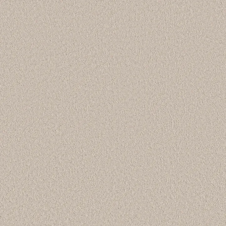 Shaw Floors Velvet Touch I — Soft Sense · 5E871-00101 — flooring selection with LeviArs Design & Remodeling